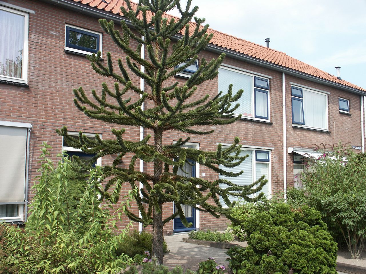 Magnoliastraat 37, 7161 BS Neede, Nederland