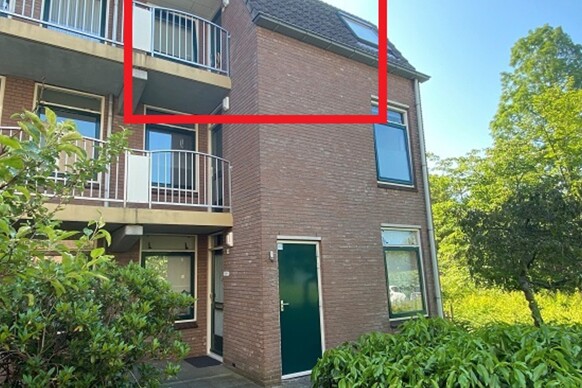 Allee 52