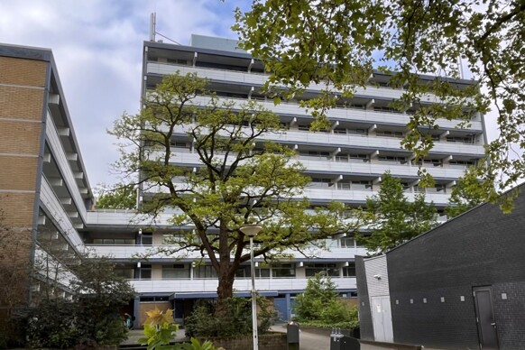 Houtsmastraat 246