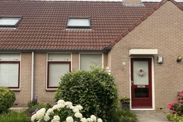 Moerbeibloesem 24