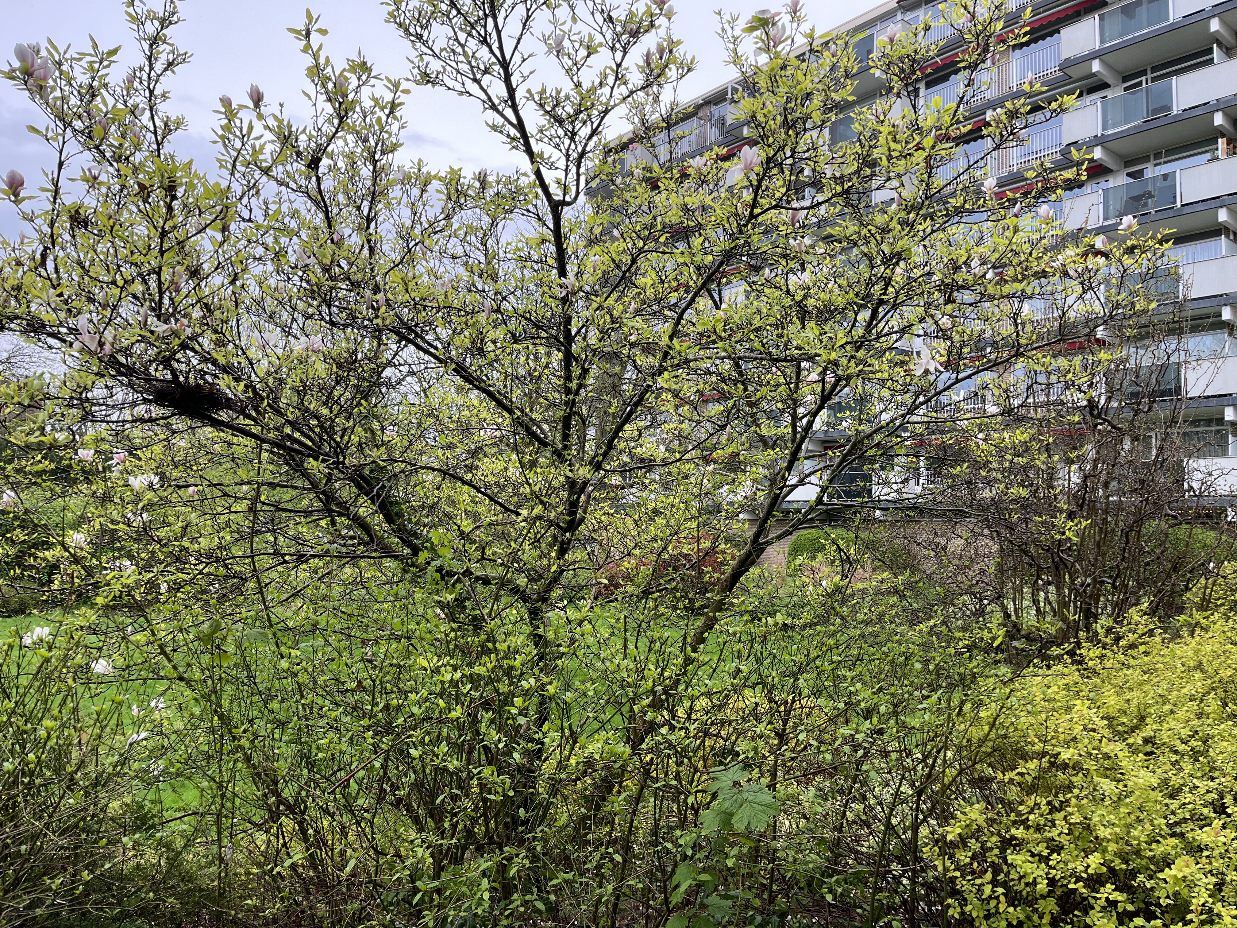 Marsmanstraat 37
