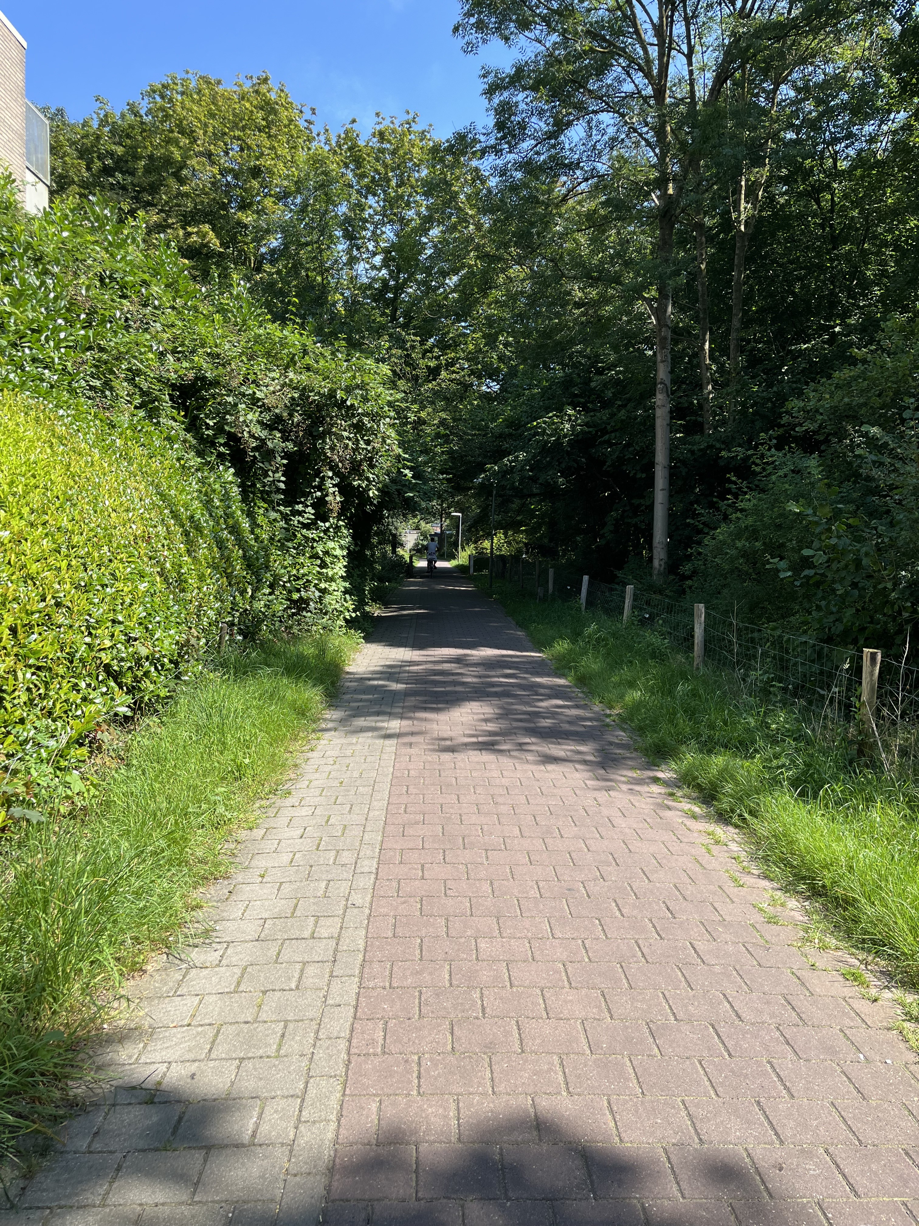 Marsmanstraat 37