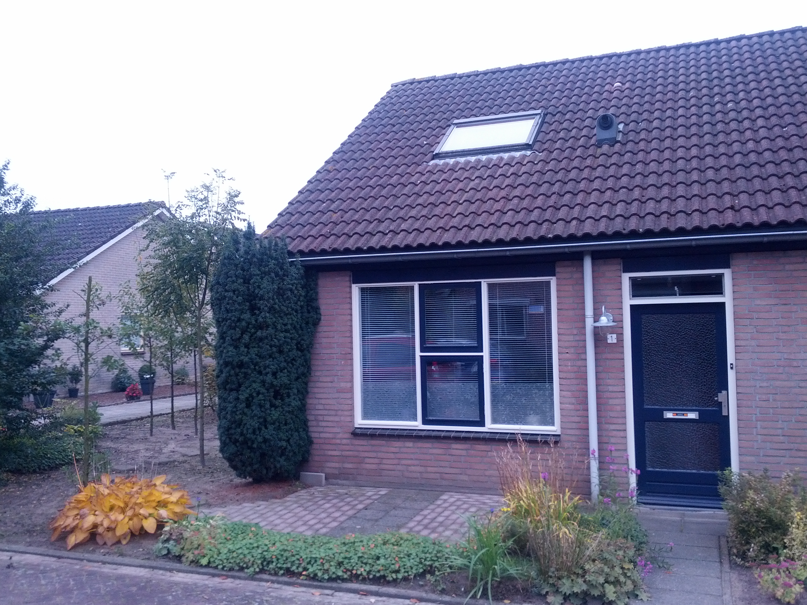 Borgman 1, 7165 CA Rietmolen, Nederland