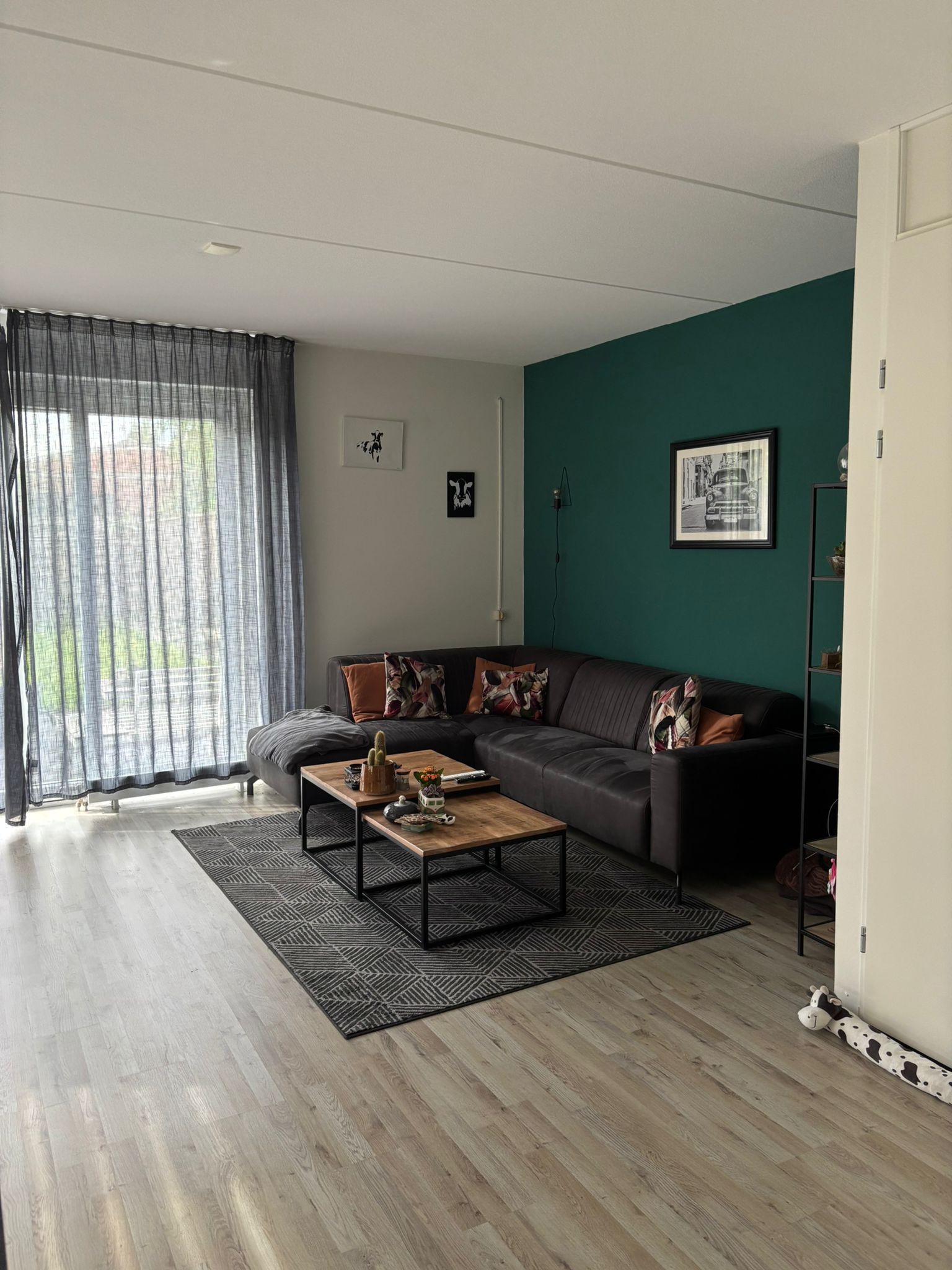 Jonkheer Meester A.F. de Savornin Lohmanstraat 11
