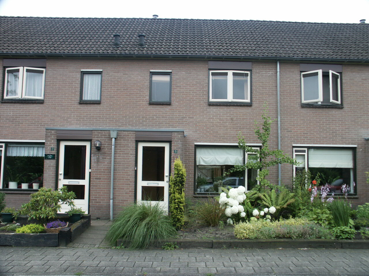 Wisselt 5