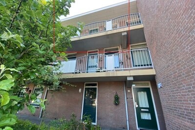 Allee 114