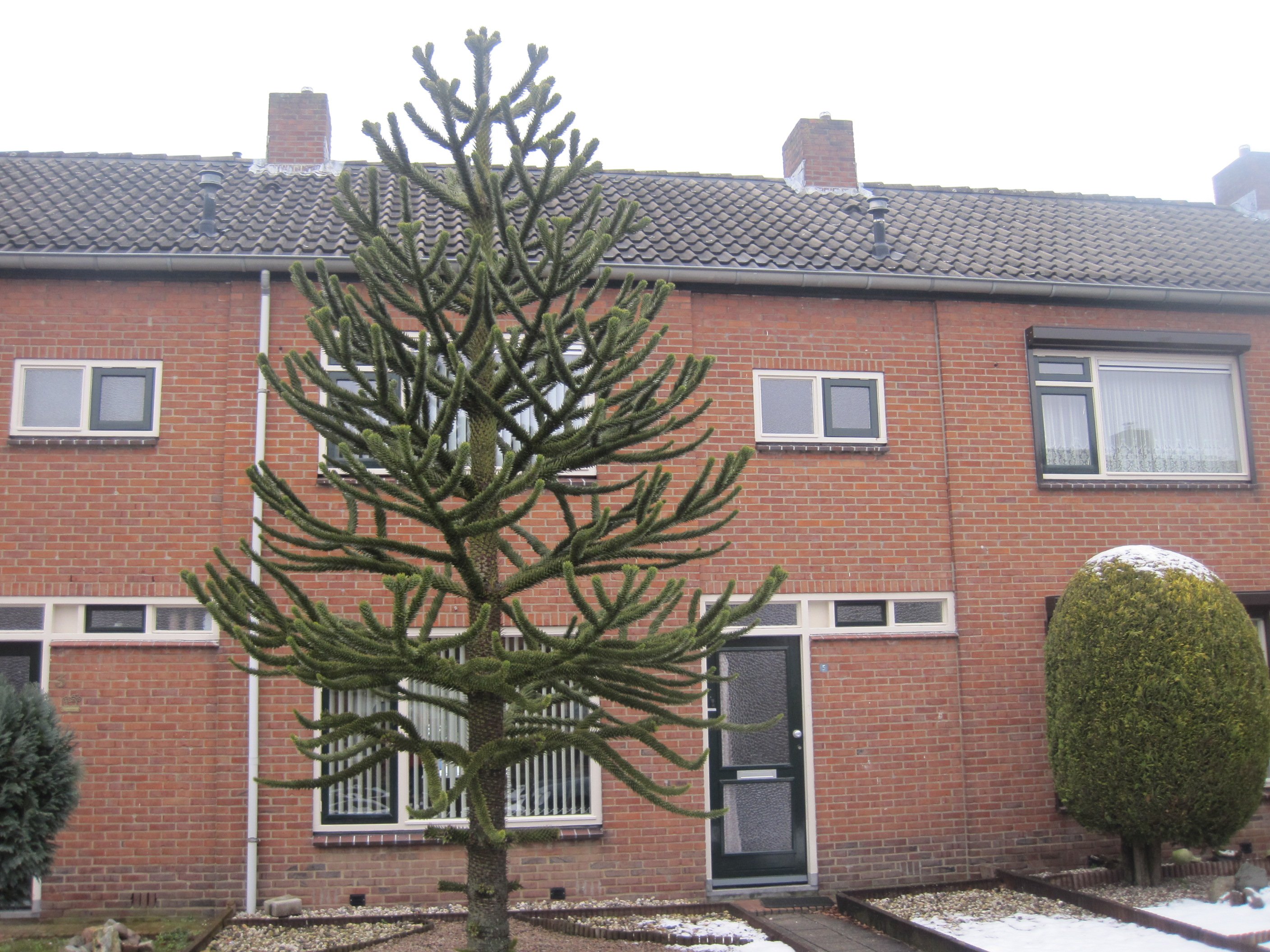 Maria Manciastraat 5, 7041 CX 's-Heerenberg, Nederland