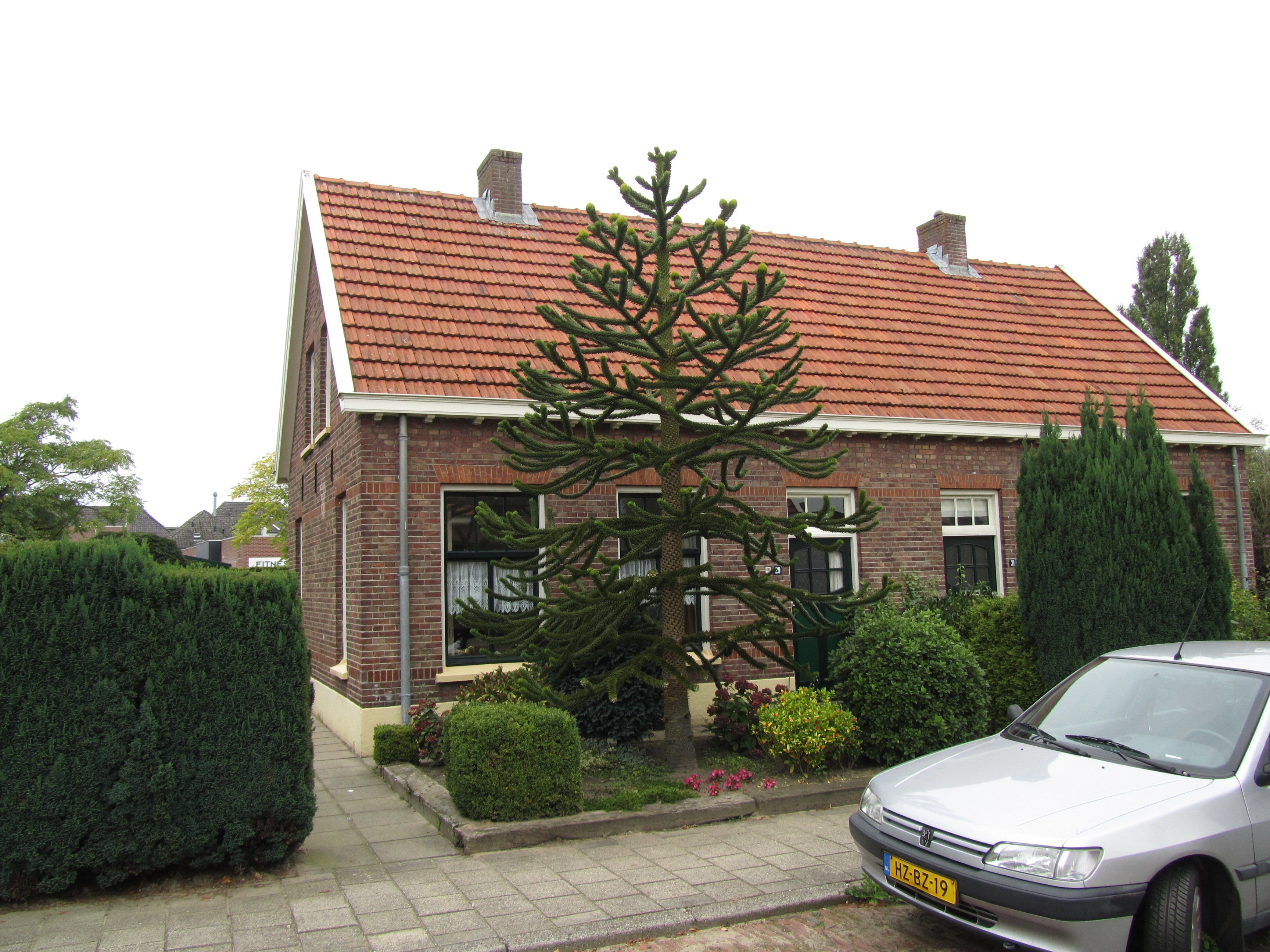 Wilhelminastraat 29, 7161 DB Neede, Nederland