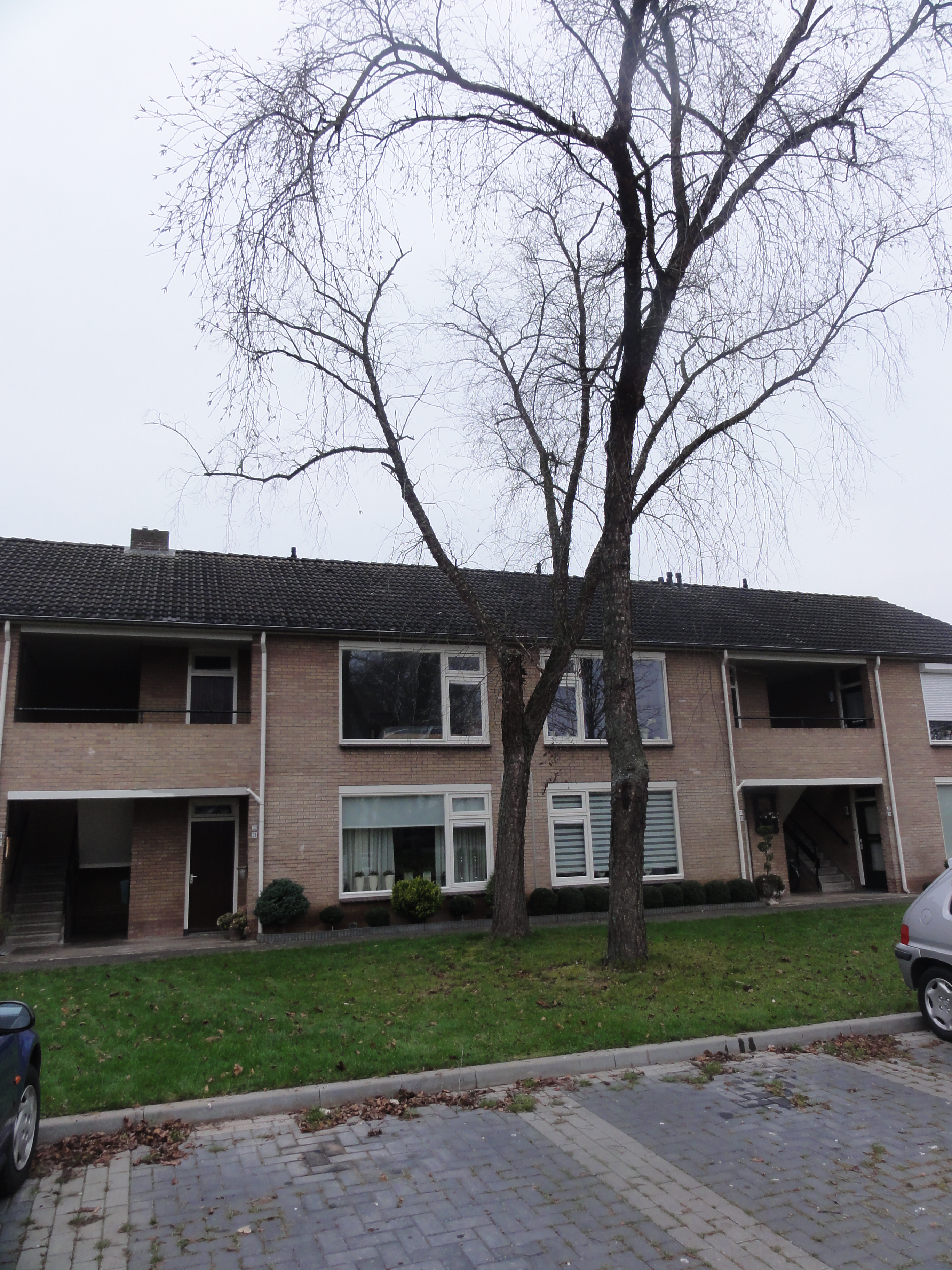 Eksterstraat 31, 7071 GK Ulft, Nederland