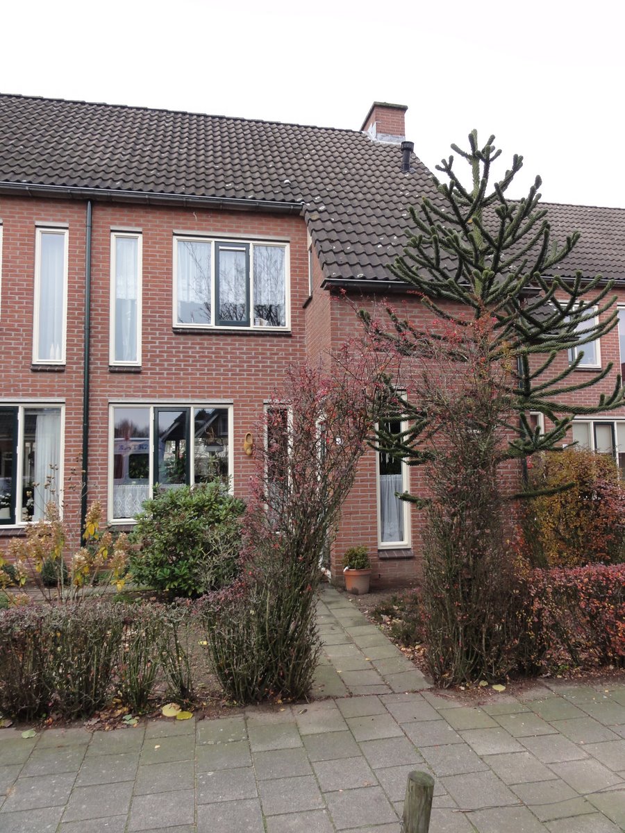 Wielewaal 17, 7071 KG Ulft, Nederland
