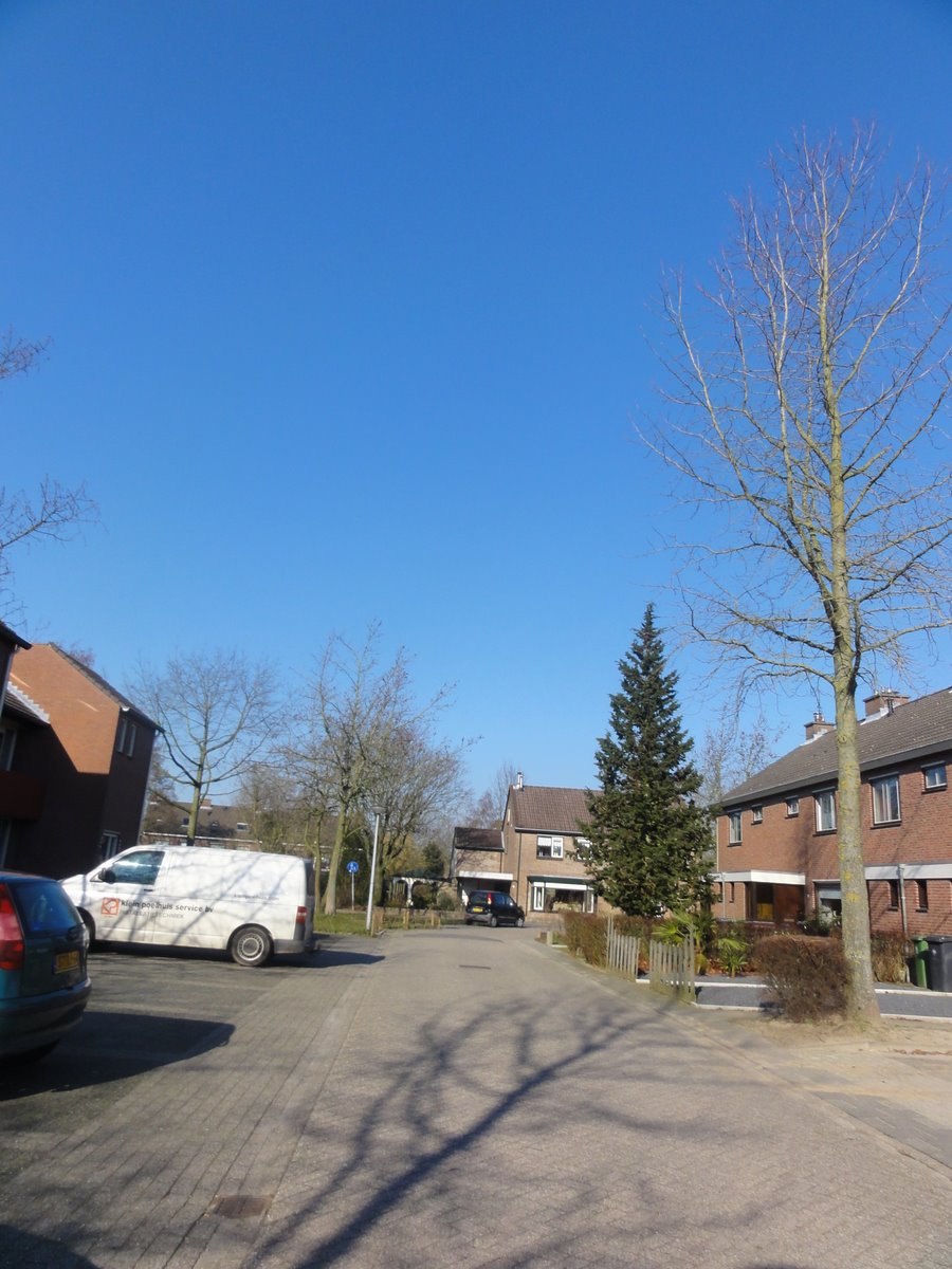 Weegbree 60, 7081 GV Gendringen, Nederland