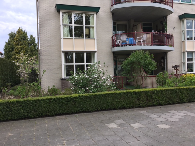 Burgemeester Bloemersstraat 12, 7271 DC Borculo, Nederland